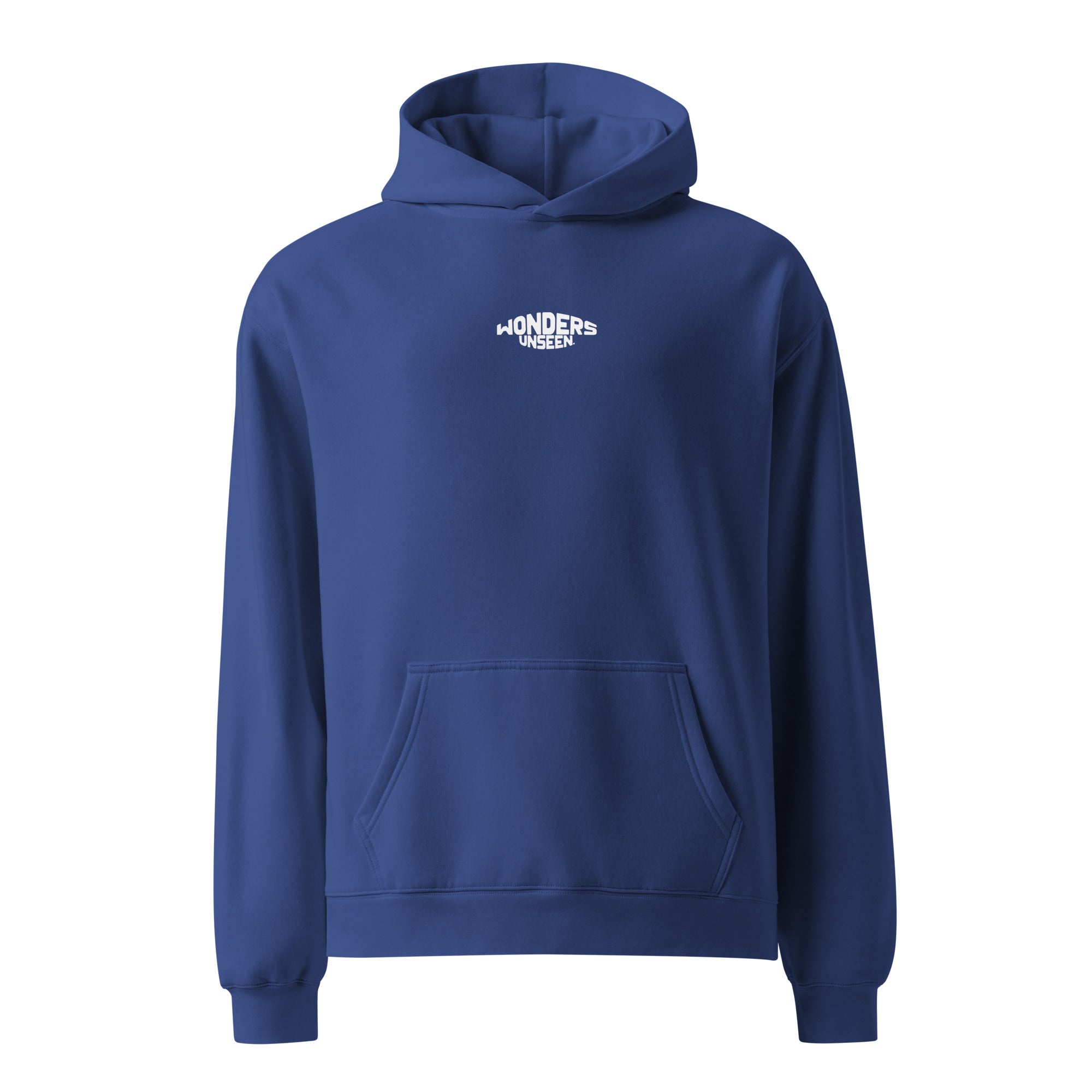 Wonders Unseen Oversized Hoodie